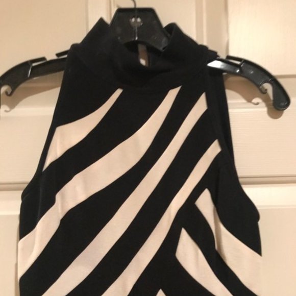 Tadashi Shoji Dress- Striped - Picture 2 of 3